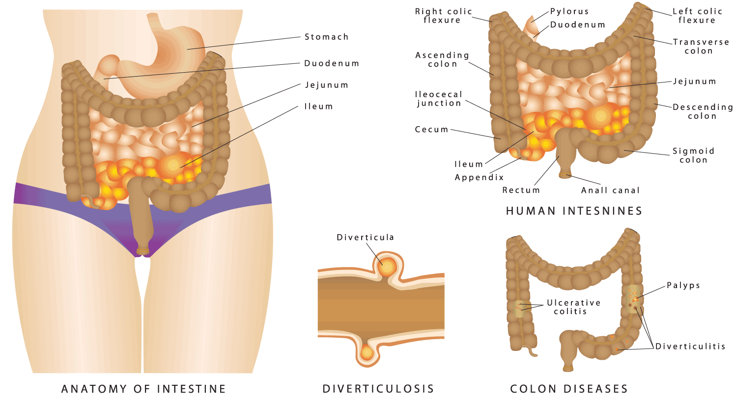 hydro colon therapy machine in india
